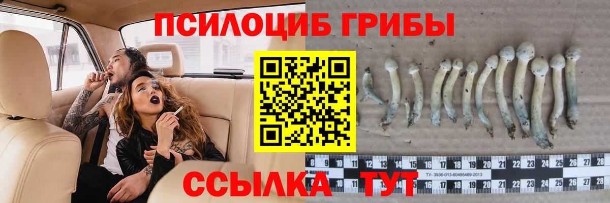 Югорск  закладки  Вход с VPN  Галлюциногенные грибы мухоморы 